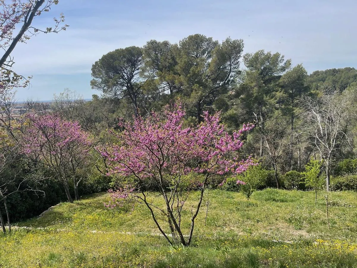 Exclusif Appart Piscine Chauffee De Luxe 10 Min Centre Aixenpc Belvoir Sissi Aix-en-Provence Apartment